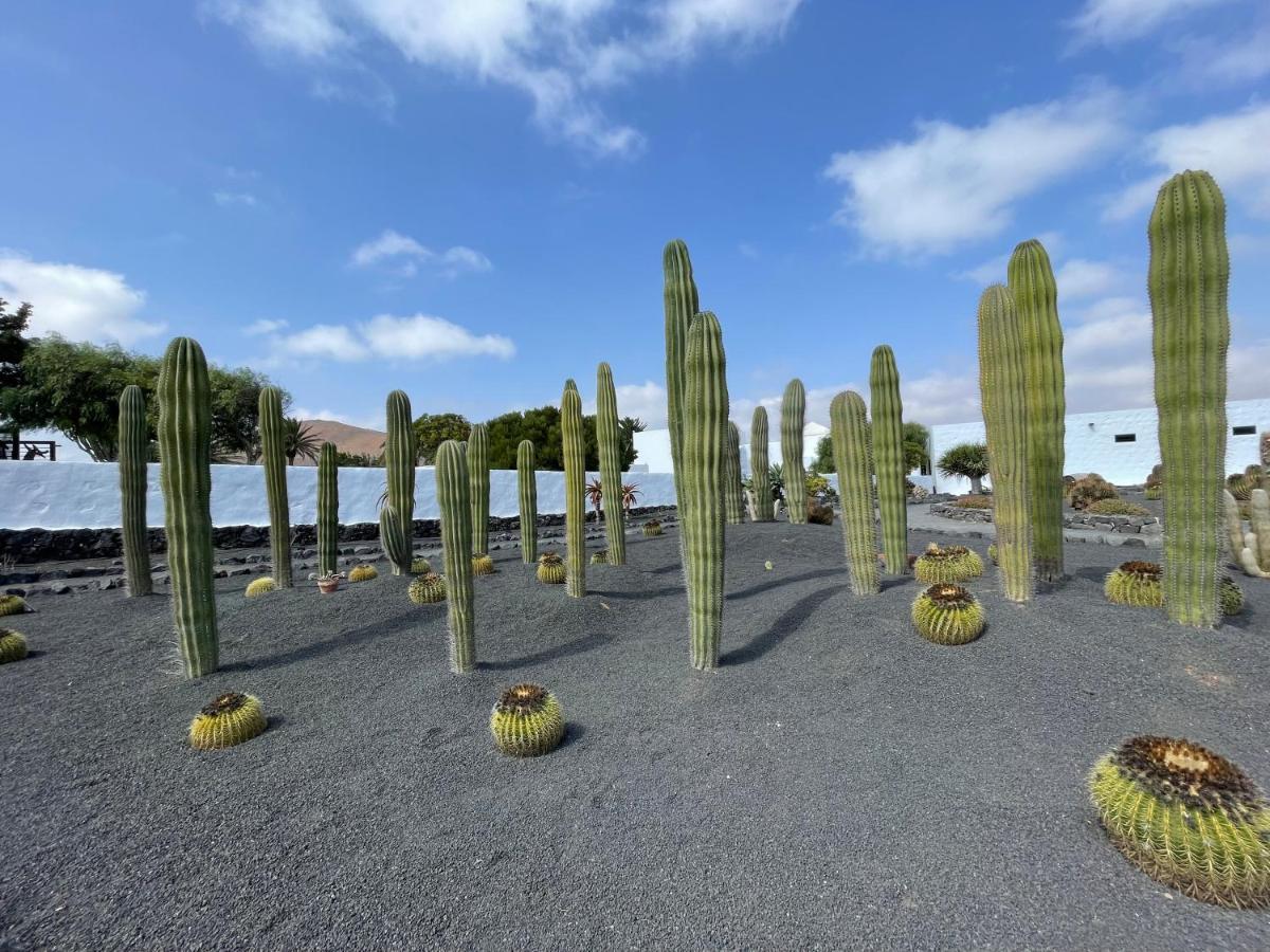 Izaro Apartamento Atico De Lujo Cerca De Playa Dorada Playa Blanca (Lanzarote) Exterior foto